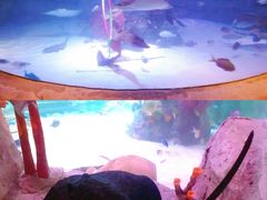 -沈阳海洋探索中心