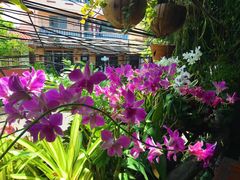-自然餐厅(Phuket)