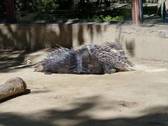 -青藏高原野生动物园