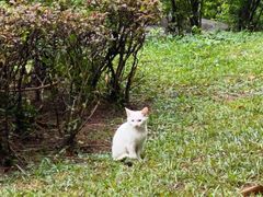 -怡海公园(桂城街道)