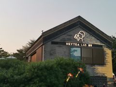 -喜茶(深圳欢乐海岸LAB店)