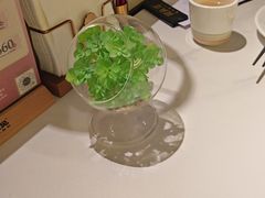 -码头见·潮汕菜(领展中心城店)