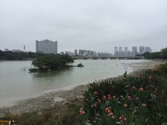 -南宁南湖公园