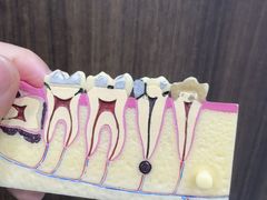 -雅德嘉口腔(时雨园店)