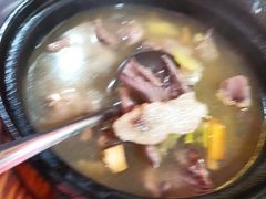 -东鸽皇(奥园·中环广场店)