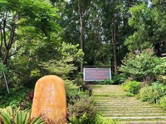 -火炉山森林公园