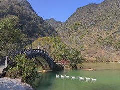 -靖西鹅泉风景区