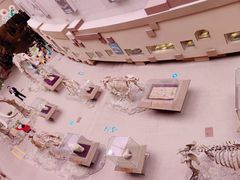 -陕西自然博物馆