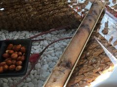 -慢丽江·云南野生菌土鸡锅(付家庄店)