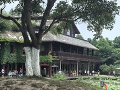 -东滩湿地公园观海楼餐厅
