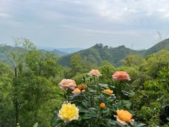 -莫干山风景区