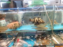 -老宁波1381餐厅(宏泰广场店)