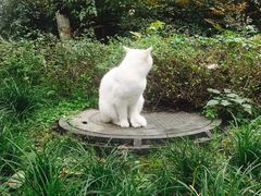 -西南民族大学南区(双流校区)