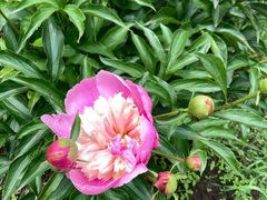 景点-长春公园(普阳街道)