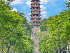 -红花山公园