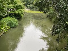 -西湖游船