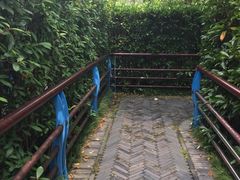 -韶山毛泽东同志故居