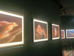 -罗红摄影艺术馆