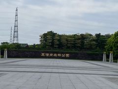 -王借岗森林公园