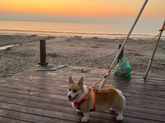 -秦皇岛阿尔卡迪亚滨海度假酒店