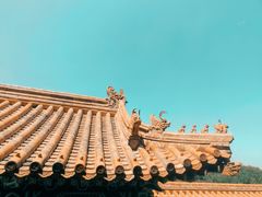 -颐和园