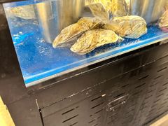 -亚马逊蒸汽活海鲜自助(LCM置汇旭辉广场店)