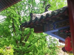 -宝通禅寺