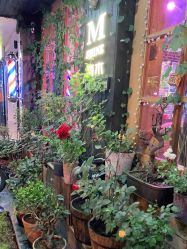 -青木造型HAIR·あおき髪を刈る潮人店