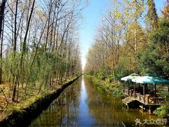 -合肥滨湖国家森林公园