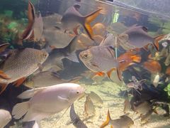 -太平洋海底世界