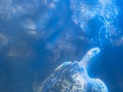 -太平洋海底世界