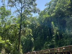 -长兴太湖图影湿地文化园