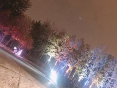 -枫花园汽车电影院(朝阳公园店)