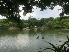 -南宁市动物园