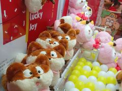 -LLJ夹机占(清河万象汇店)