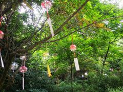 -黄公望隐居地