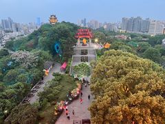 -黄鹤楼公园(黄鹤楼)