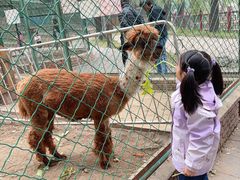 -大明幻境第一城