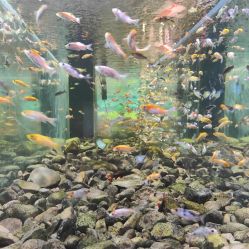 -Zoolung Zoolung动物主题公园(海信广场店)