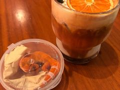 -酷以爬仙阁实体爬宠店·守宫·蜥蜴·专业繁育