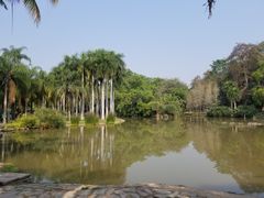 -中国科学院西双版纳热带植物园