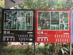 -芦仙山景区-飞越丛林探险乐园