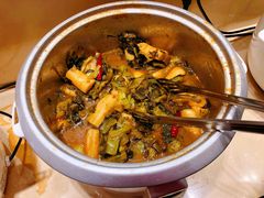 -素满香·食养自助(天一广场店)
