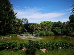 -海南热带野生动植物园
