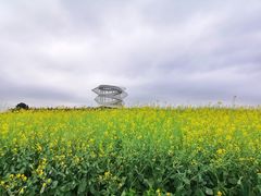 -光明小镇欢乐田园