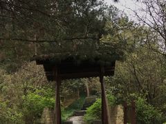 -梦姑塘文化公园