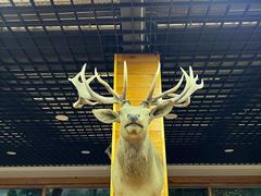 -北京鹿世界主题园