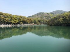 -白马涧龙池景区