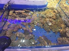 -澜悦港海鲜体验主题餐厅