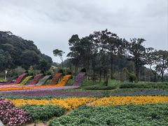 -广州市石门国家森林公园